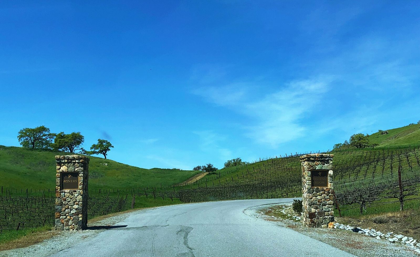 Clos LaChance Winery vineyards in San Martin, California