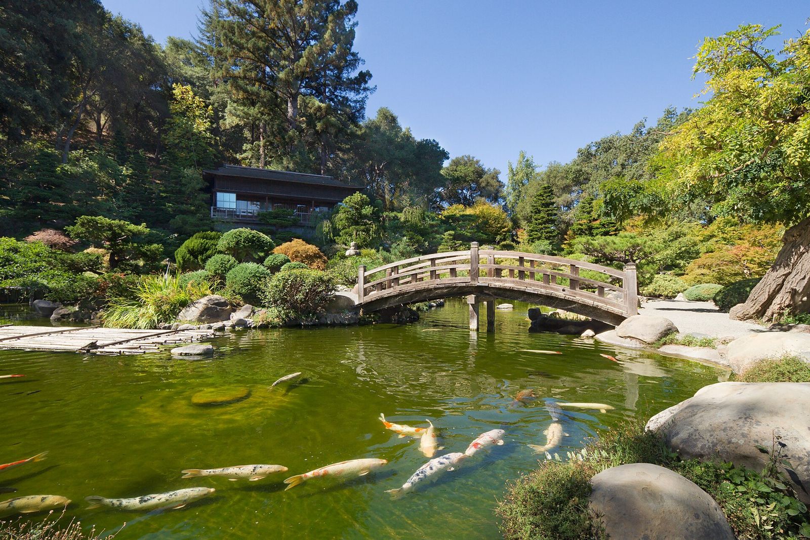 Hakone Estate and Gardens Japanese garden in Saratoga, California