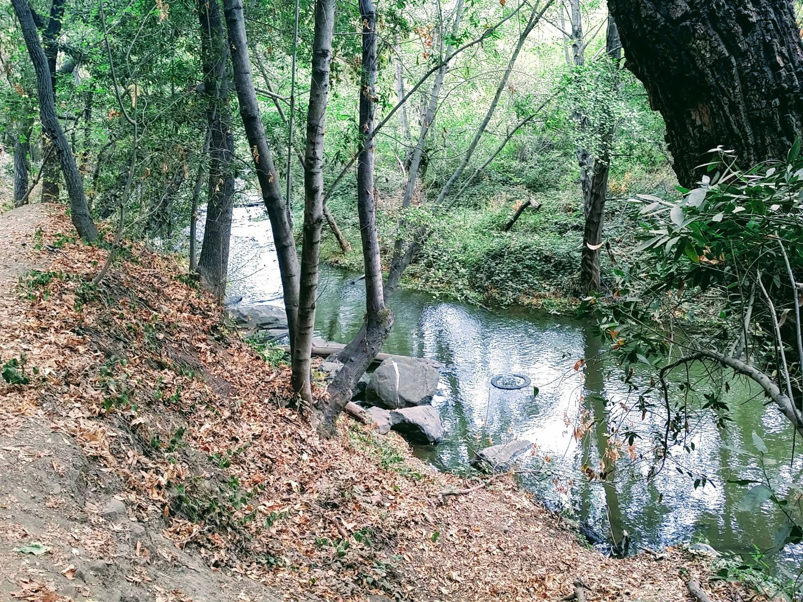 Los Gatos Creek Trail along the creek in Los Gatos, California
