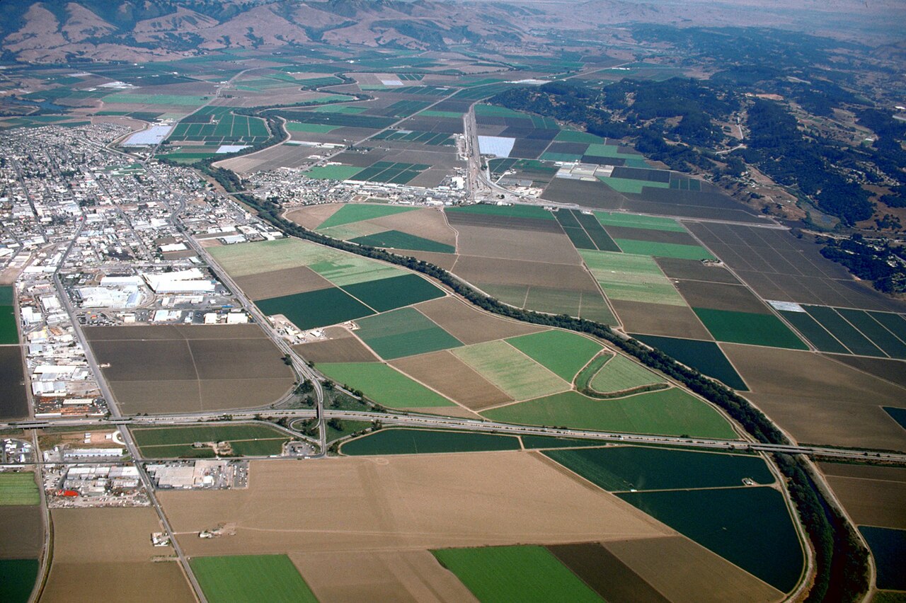 Pajaro Valley strawberry fields around Watsonville, California
