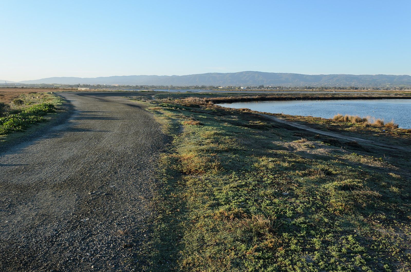 Palo Alto Baylands Nature Preserve wetlands on San Francisco Bay, California