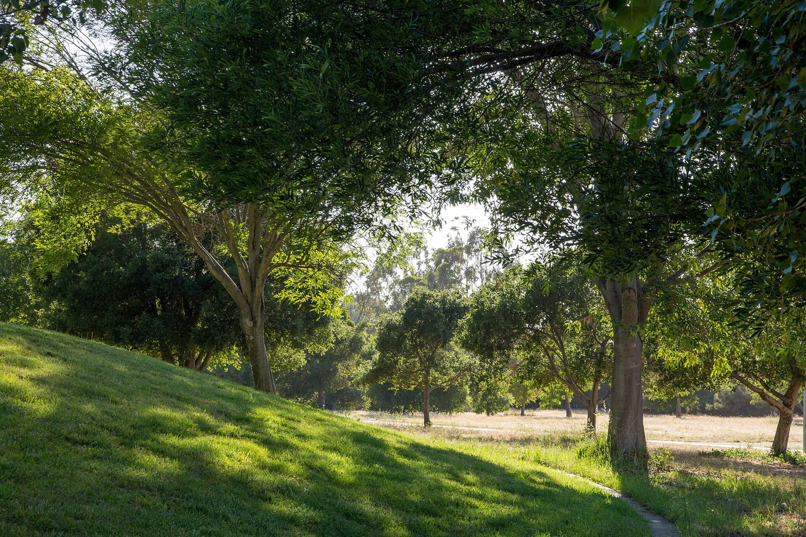 Sunnyvale Baylands Park wetlands on the edge of San Francisco Bay, California